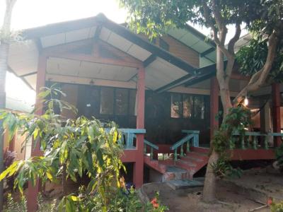 Modern Resort - 58
