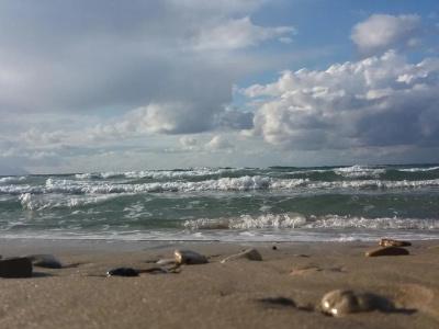 Ayma Beach Resort & Spa - 13