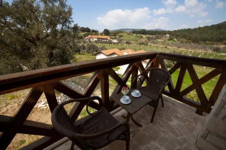 Vinifera Vineyards - 106