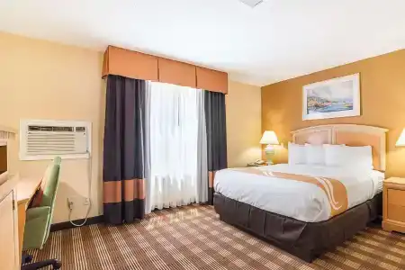 Quality Inn - 51