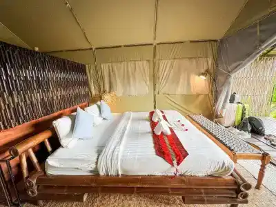 Khaosok Boutique Camps - 65