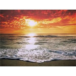 Solemare - 13