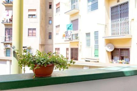 b&b Too Cute 2b Str8 - 47