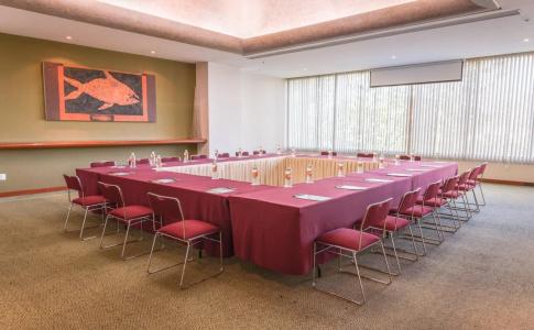 Holiday Inn Guadalajara Select, An Ihg - 19