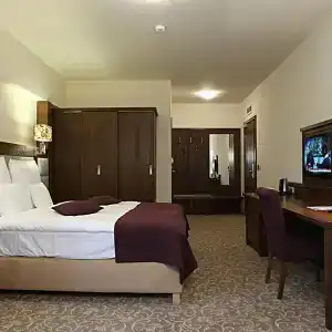 Mercure Krynica Zdrój Resort&Spa - 34