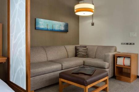 Hyatt Place Chicago/Downtown - The Loop - 47