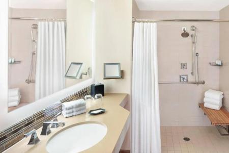 The Westin La Paloma Resort & Spa - 86