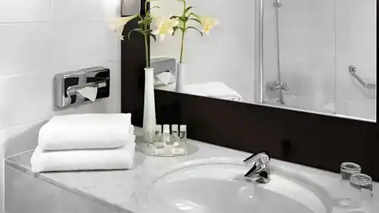 Park Plaza Eindhoven - 36