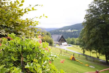 Amenity & Resort Špindlerův Mlýn - 124