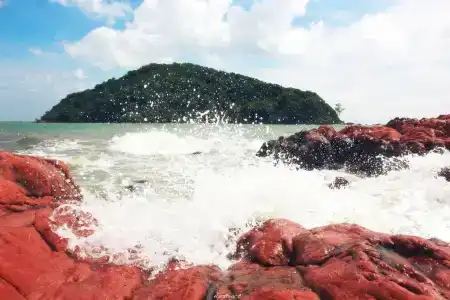 Tum Baan Suan ตุ่มบ้านสวน - 13