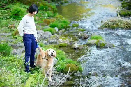Izumigo Takayama Dog Paradise - 25