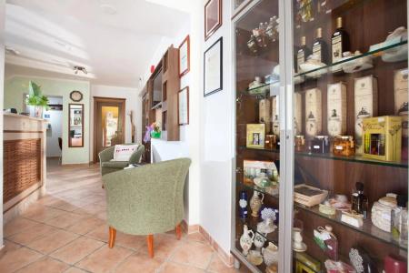 Villa Andrea - 28