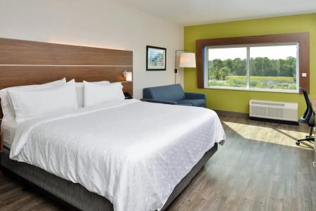 Holiday Inn Express Orlando - South Park, An Ihg - 101