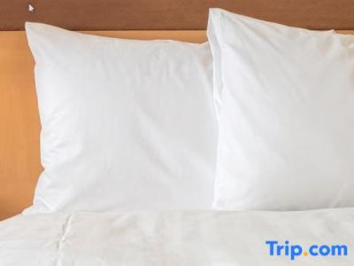 Ramada & Suites by Wyndham Costa del Sol Fuengirola - 80