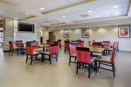 Comfort Inn & Suites SW Houston Sugarland - 30