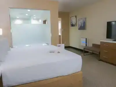 Wyndham Anaheim - 61