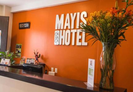 Mayis - 1
