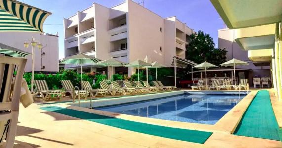 Green Palm - 10