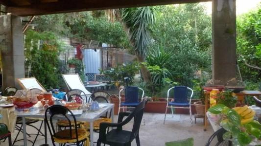 The Garden - 10