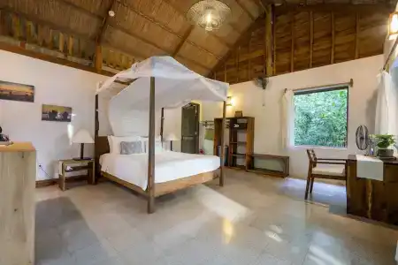 Mango Bay Resort - 253