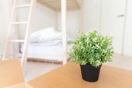 Casa Blanca Guesthouse - 116