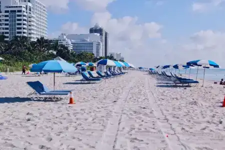 Ocean Spray - 20