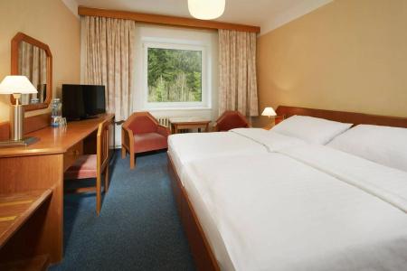 Orea Horizont ŠUmava - 5