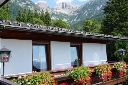 Pension Dachsteinhof - 39