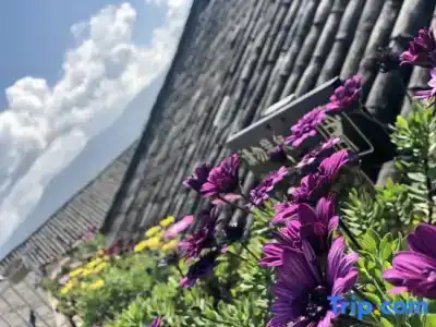 Floral Guangying Desinger - 2