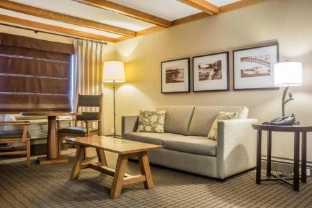 Comfort Inn The Pointe - 44