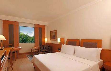 Trident Chennai - 51