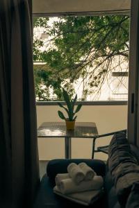 Sucre Suites - 298