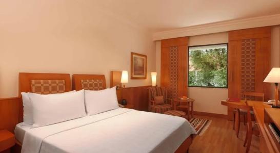 Trident Chennai - 50