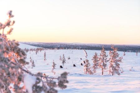 Northern Lights Village - 35