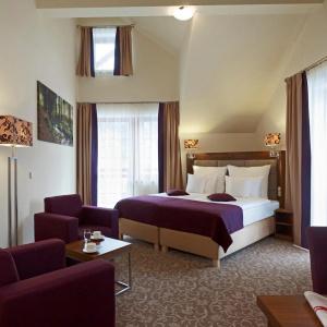 Mercure Krynica Zdrój Resort&Spa - 34