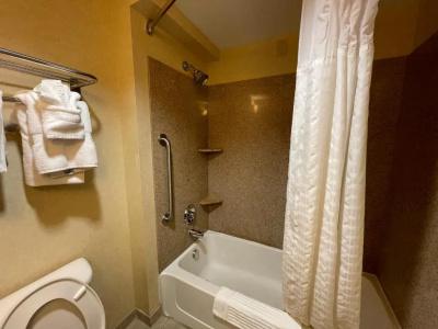 Comfort Suites North - 88
