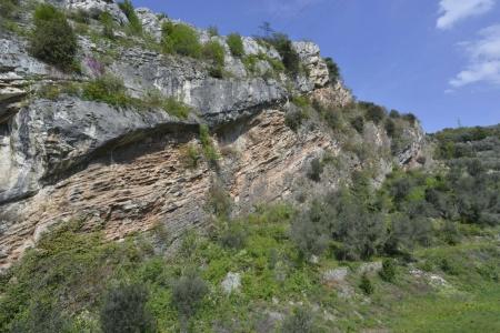 Seele Garda - 41