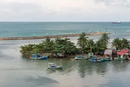 Nipola - 20