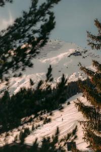 Schwarzwand - 51