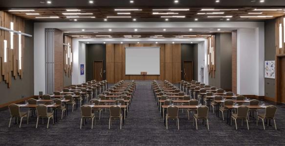 DoubleTree by Hilton Manisa - 17
