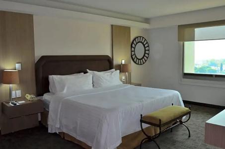 Holiday Inn Guadalajara Select, An Ihg - 92