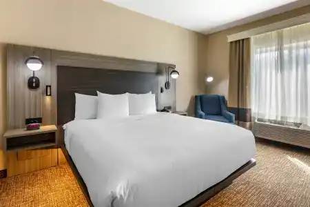 Comfort Inn & Suites North Dallas-Addison - 43