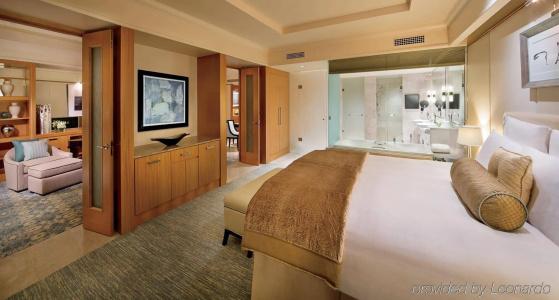 The Ritz-Carlton, Dubai International Financial Centre - 27