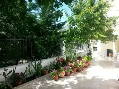 Elena's Garden - 21