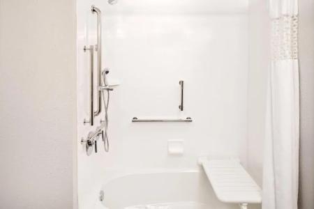 Hampton Inn & Suites Houston-Medical Center-Nrg Park - 58