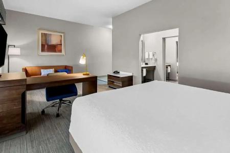 Hampton Inn & Suites I-20 - 76