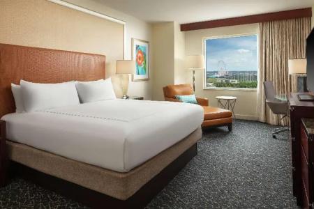 Hilton Orlando - 21