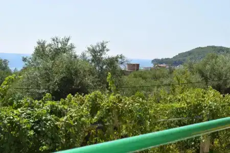 Velco BB Himara - 5