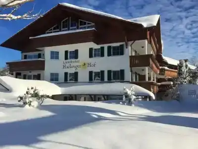 Haflingerhof - 15
