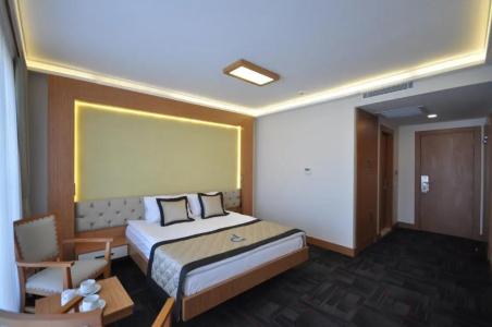Double Comfort - 52